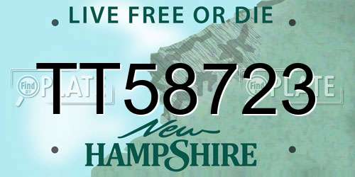 TT58723 New Hampshire License Plate