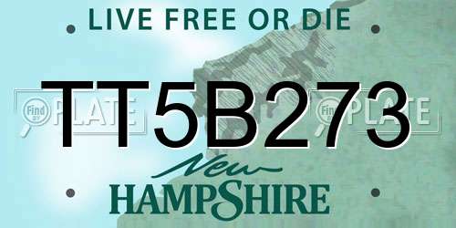 TT5B273 New Hampshire License Plate