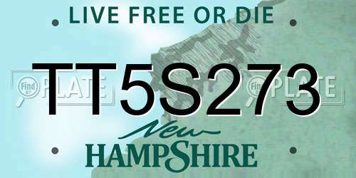 TT5S273 New Hampshire License Plate