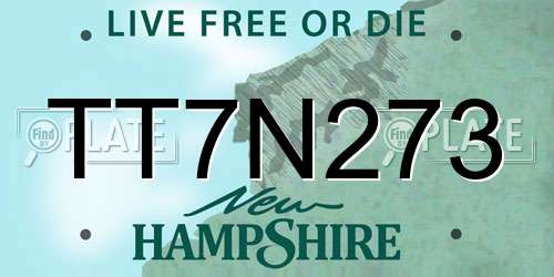 TT7N273 New Hampshire License Plate