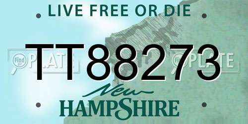TT88273 New Hampshire License Plate