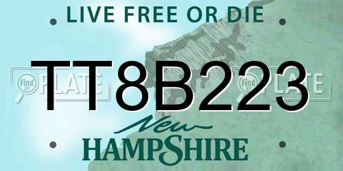 TT8B223 New Hampshire License Plate