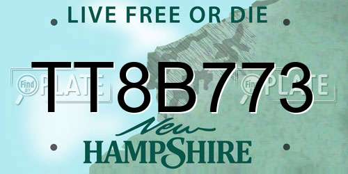 TT8B773 New Hampshire License Plate