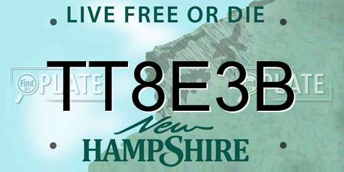 TT8E3B New Hampshire License Plate