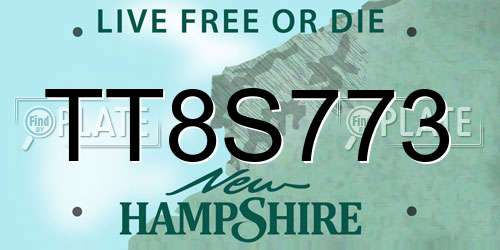 TT8S773 New Hampshire License Plate