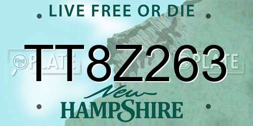 TT8Z263 New Hampshire License Plate
