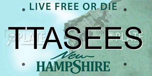 TTASEES New Hampshire License Plate