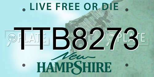 TTB8273 New Hampshire License Plate