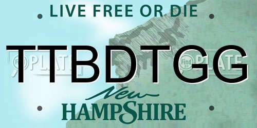 TTBDTGG New Hampshire License Plate