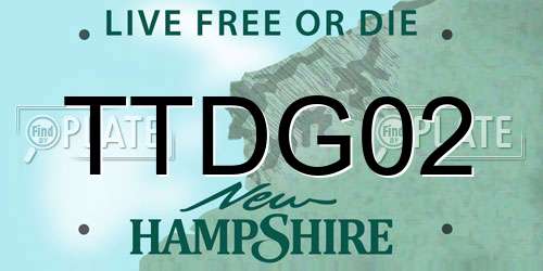 TTDG02 New Hampshire License Plate
