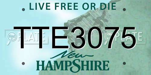 TTE3075 New Hampshire License Plate