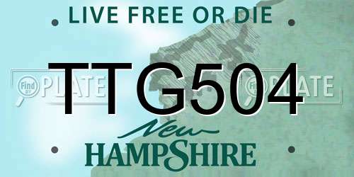 TTG504 New Hampshire License Plate