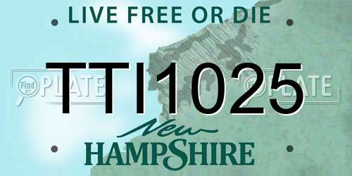 TTI1025 New Hampshire License Plate