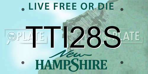 TTI28S New Hampshire License Plate