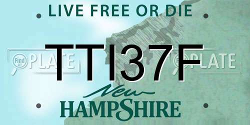 TTI37F New Hampshire License Plate