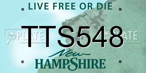 TTS548 New Hampshire License Plate