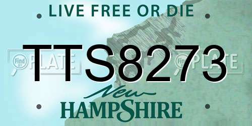 TTS8273 New Hampshire License Plate