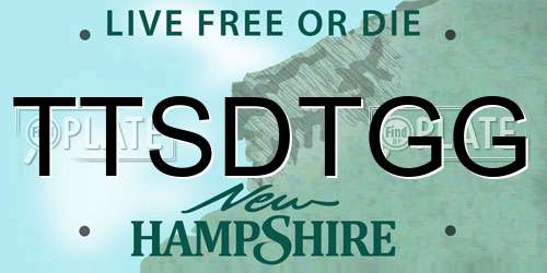 TTSDTGG New Hampshire License Plate