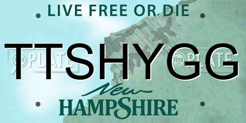 TTSHYGG New Hampshire License Plate