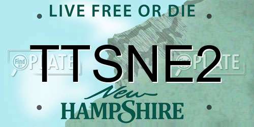 TTSNE2 New Hampshire License Plate
