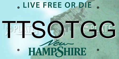 TTSOTGG New Hampshire License Plate