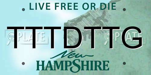 TTTDTTG New Hampshire License Plate