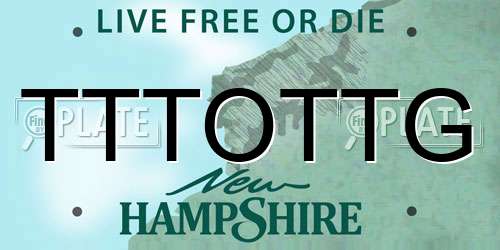 TTTOTTG New Hampshire License Plate