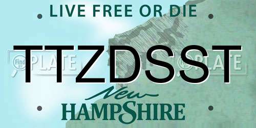 TTZDSST New Hampshire License Plate