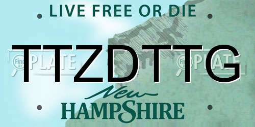 TTZDTTG New Hampshire License Plate