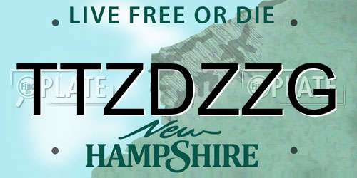 TTZDZZG New Hampshire License Plate