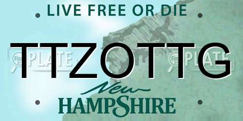 TTZOTTG New Hampshire License Plate