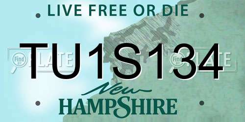 TU1S134 New Hampshire License Plate