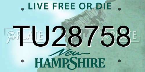 TU28758 New Hampshire License Plate