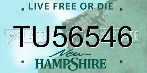 TU56546 New Hampshire License Plate