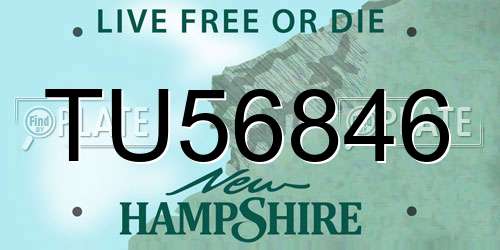TU56846 New Hampshire License Plate