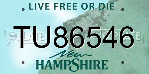 TU86546 New Hampshire License Plate