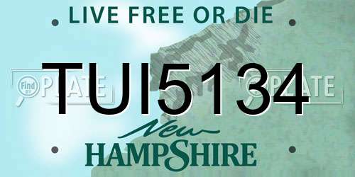 TUI5134 New Hampshire License Plate