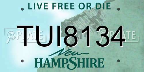 TUI8134 New Hampshire License Plate