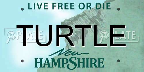 TURTLE New Hampshire License Plate