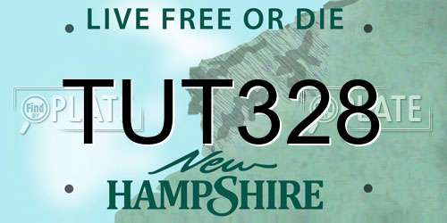 TUT328 New Hampshire License Plate
