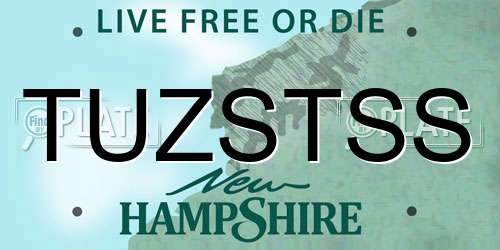 TUZSTSS New Hampshire License Plate