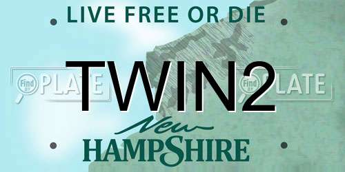 TWIN2 New Hampshire License Plate