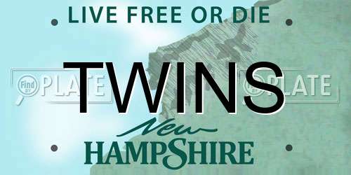 TWINS New Hampshire License Plate
