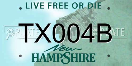 TX004B New Hampshire License Plate