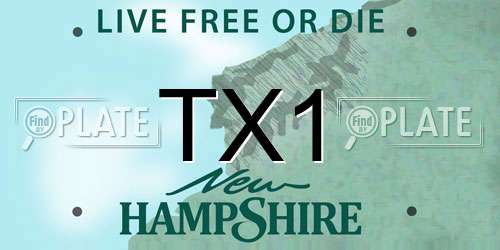TX1 New Hampshire License Plate