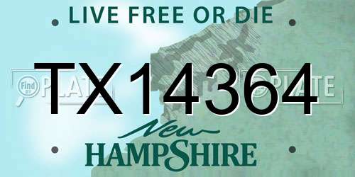 TX14364 New Hampshire License Plate
