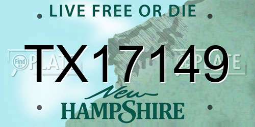 TX17149 New Hampshire License Plate