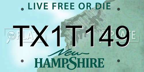 TX1T149 New Hampshire License Plate
