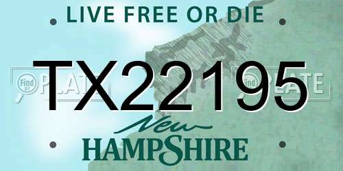 TX22195 New Hampshire License Plate