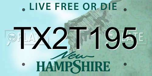 TX2T195 New Hampshire License Plate